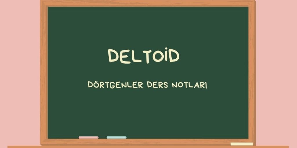 Deltoid – Dörtgenler ve Özellikleri Ders Notları