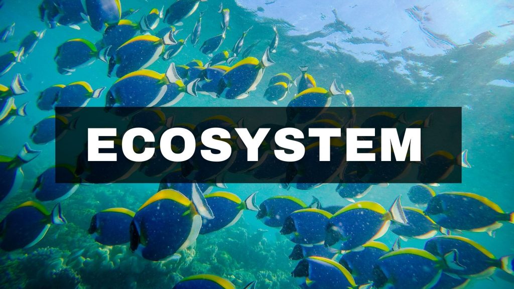 Ecosystem- Definition, Types, Examples, Structure and Functions