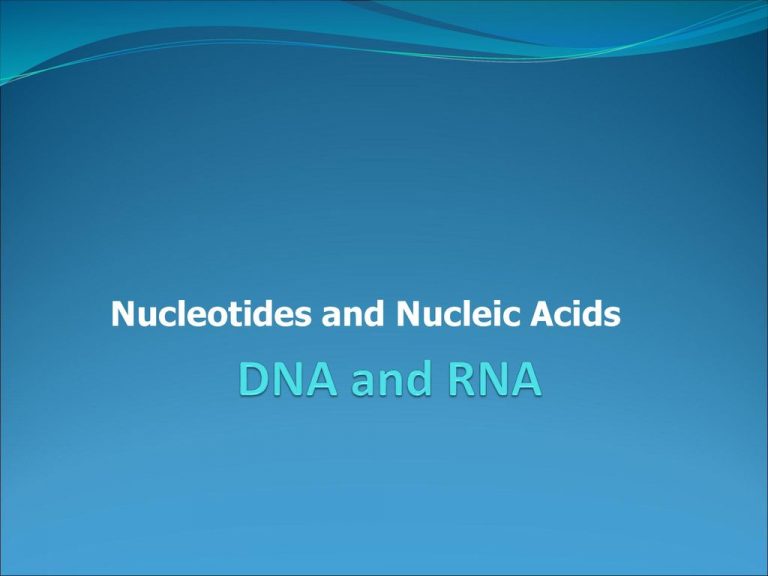 What is Nucleotide? Definition, Structures, Types, Nucleotide vs. Nucleoside