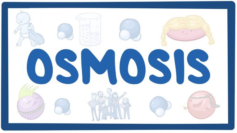 What Is Osmosis? Definition, Types, Significance, Osmotic Pressure